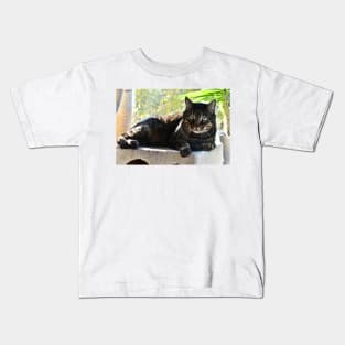 Cats Kids T-Shirt